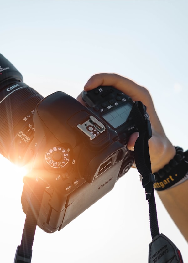Kuda Junior — Photographer